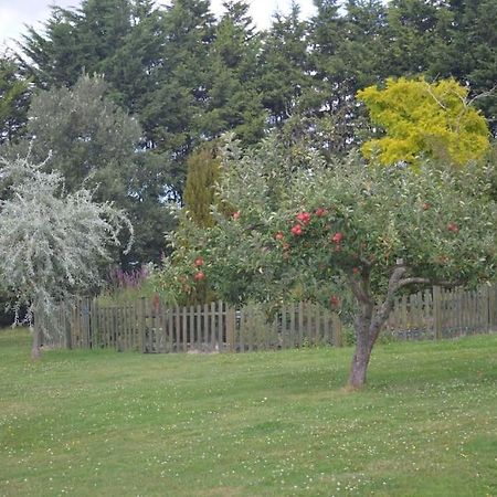 The Willow Studio - Peaceful Retreat Near Whitstable Seaside Faversham Dış mekan fotoğraf