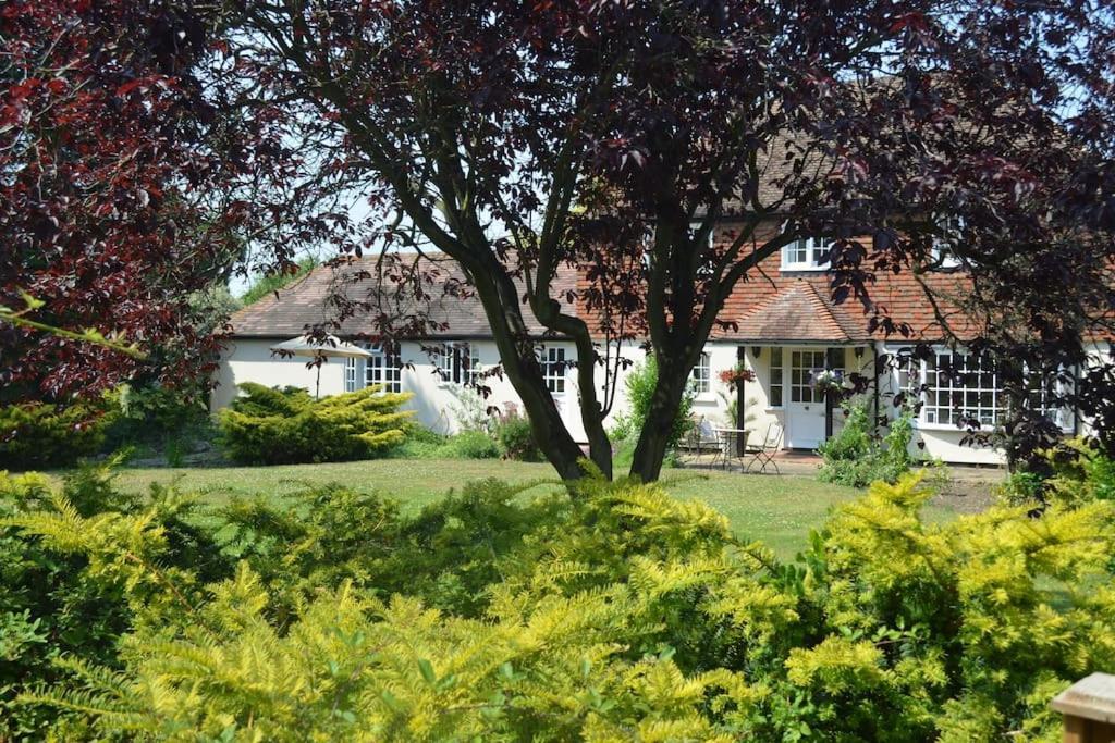 The Willow Studio - Peaceful Retreat Near Whitstable Seaside Faversham Dış mekan fotoğraf